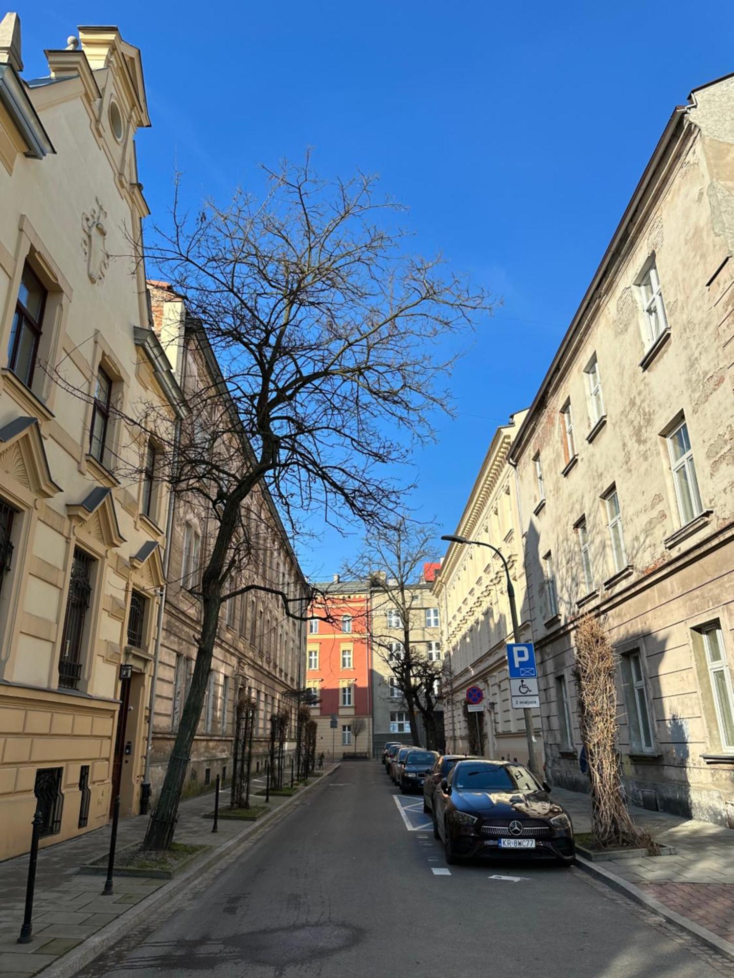 Perfect Place To Stay In Krakow City Center 36M2 W3 외부 사진